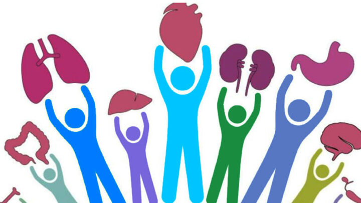 DESINFORMACIÓN Y DESCONFIANZA FRENAN DONACIÓN DE ÓRGANOS