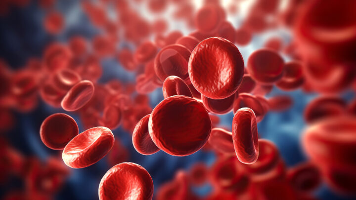 CONTROL DE INFECCIONES EN LA SANGRE DESPUÉS DE UN TRASPLANTE