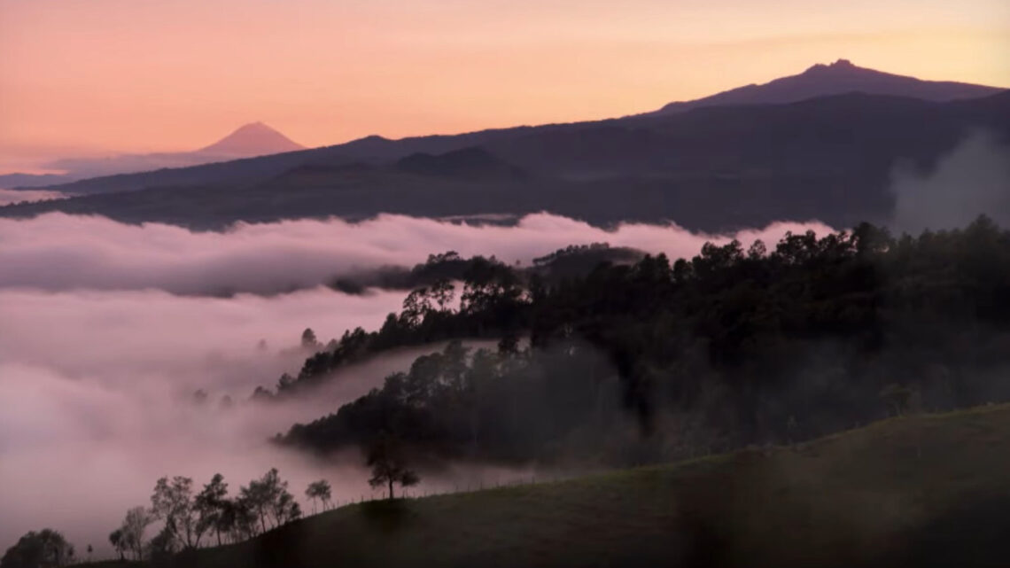 DEFORESTACIÓN Y CAMBIO CLIMÁTICO AMENAZAN BOSQUES DE NIEBLA