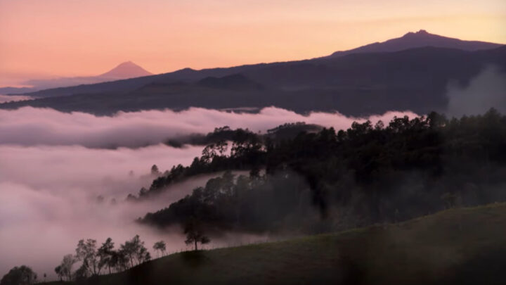 DEFORESTACIÓN Y CAMBIO CLIMÁTICO AMENAZAN BOSQUES DE NIEBLA