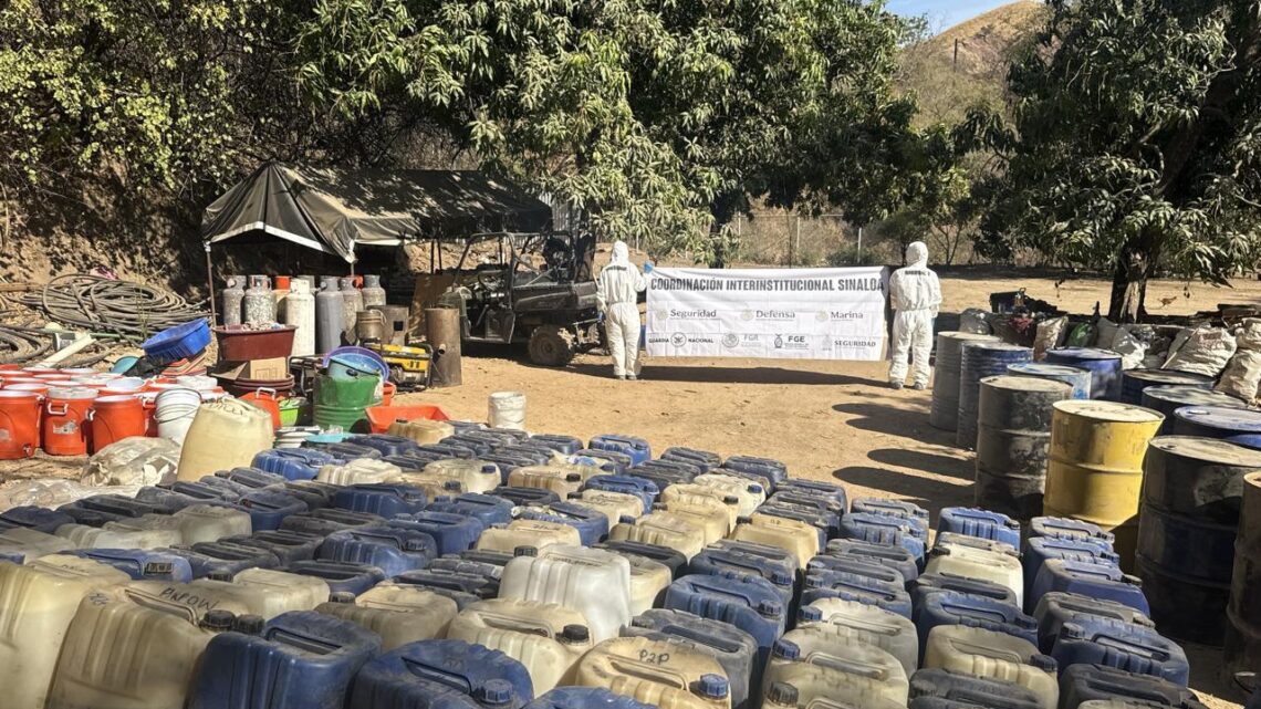 NEUTRALIZAN DOS LABORATORIOS CLANDESTINOS EN INMEDIACIONES DEL POBLADO “EL TASTITO”, EN EL ESTADO DE DURANGO