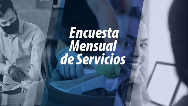 ENCUESTA MENSUAL DE SERVICIOS