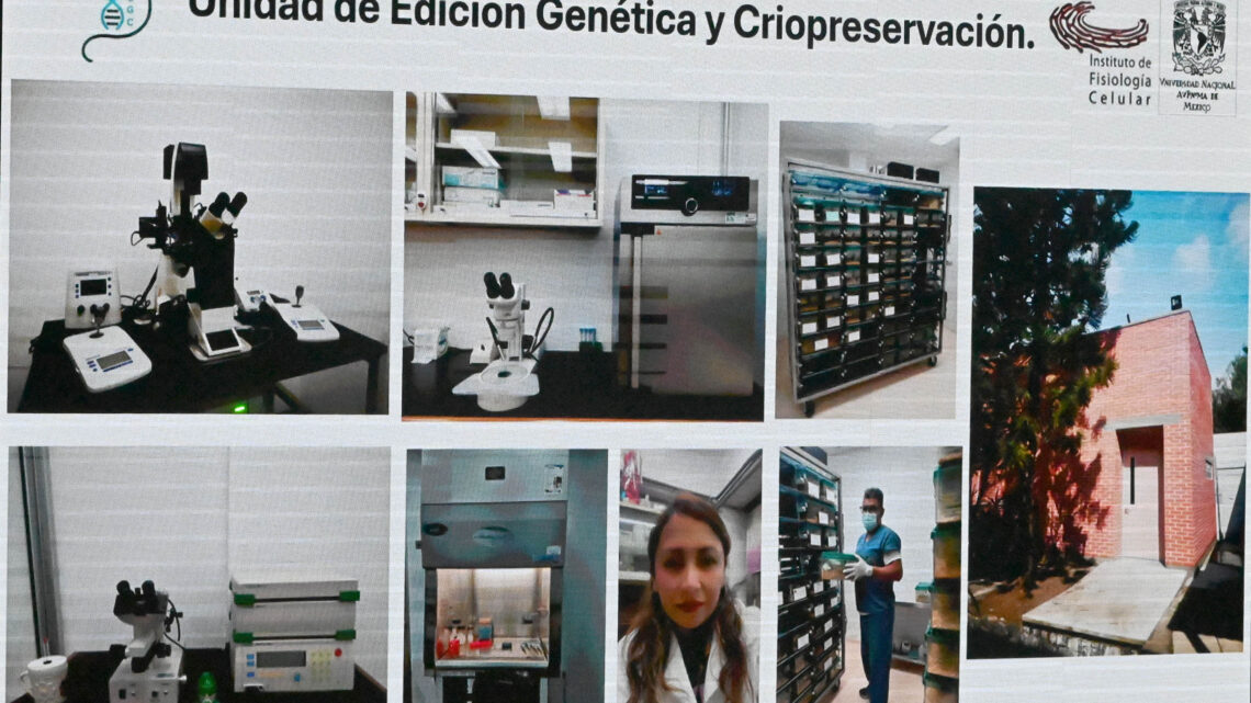 CIENCIA DE EXCELENCIA CON UNIDAD DE EDICIÓN GENÉTICA Y CRIOPRESERVACIÓN