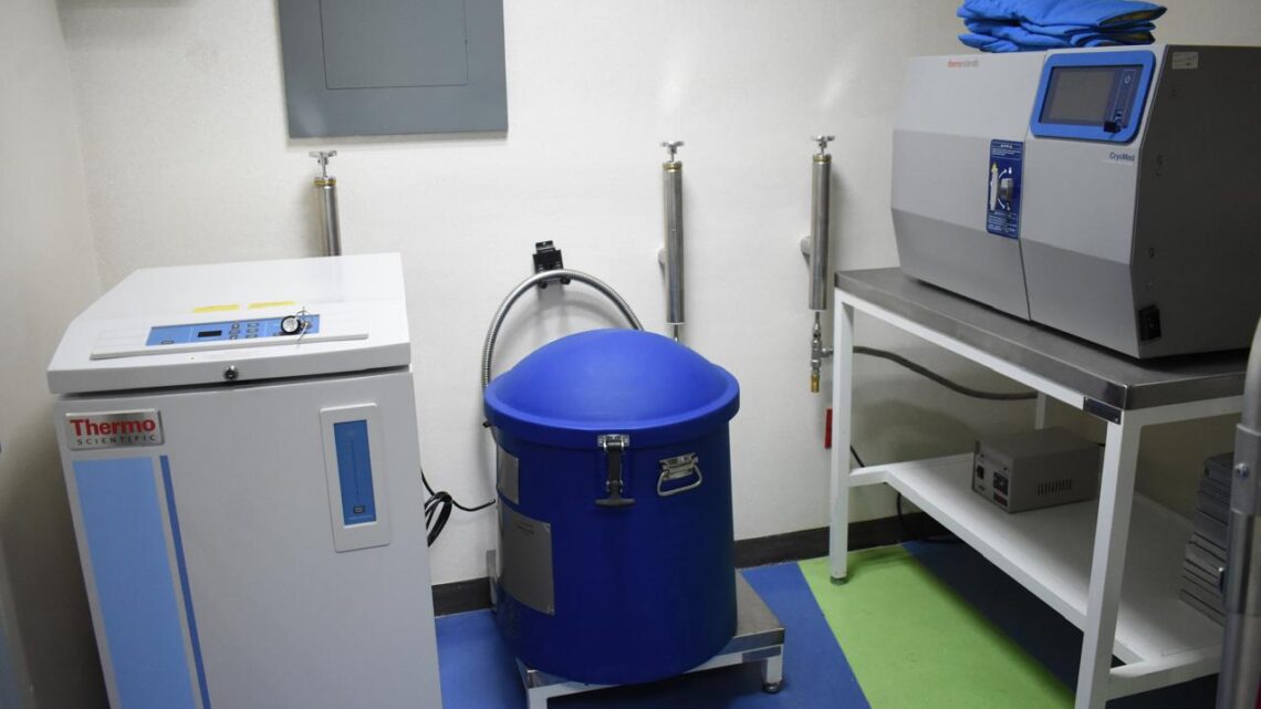 INAUGURA HIMFG UNIDAD DE CRIOPRESERVACIÓN DE CÉLULAS HEMATOPOYÉTICAS