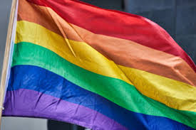 ESTADÍSTICAS A PROPÓSITO DEL DÍA INTERNACIONAL DEL ORGULLO LGBTI+[1] (28 DE JUNIO)