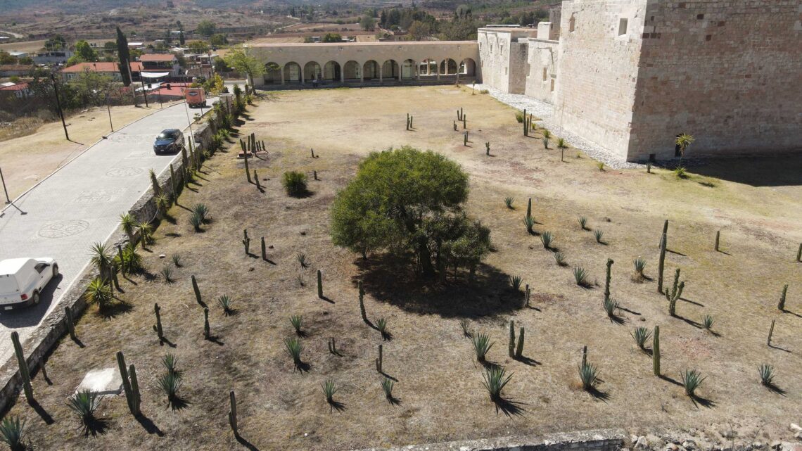 EN OAXACA, UN JARDÍN GEOBOTÁNICO EN GEOPARQUE EN OAXACA, UN JARDÍN GEOBOTÁNICO EN GEOPARQUE