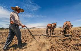 INDICADOR OPORTUNO DE LA ACTIVIDAD ECONÓMICA