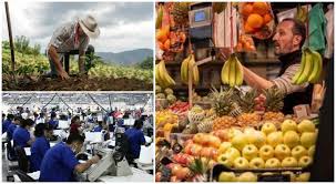 INDICADOR OPORTUNO DE LA ACTIVIDAD ECONÓMICA