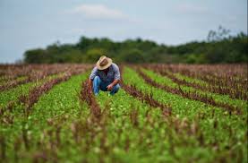 INDICADOR GLOBAL DE LA ACTIVIDAD ECONÓMICA