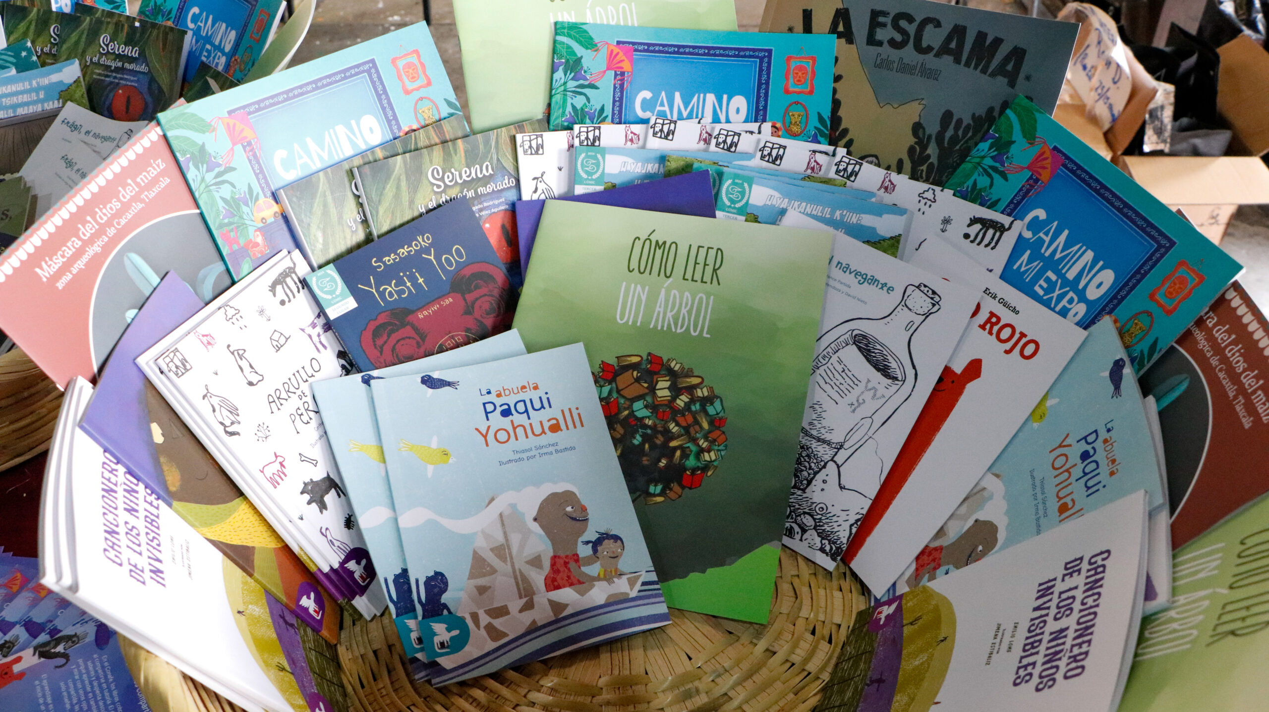 19 TÍTULOS DE LITERATURA INFANTIL Y JUVENIL PARA FOMENTAR LA LECTURA Y PRESERVAR LAS LENGUAS INDÍGENAS DEL PAÍS
