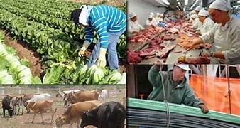 INDICADOR TRIMESTRAL DE LA ACTIVIDAD ECONÓMICA ESTATAL