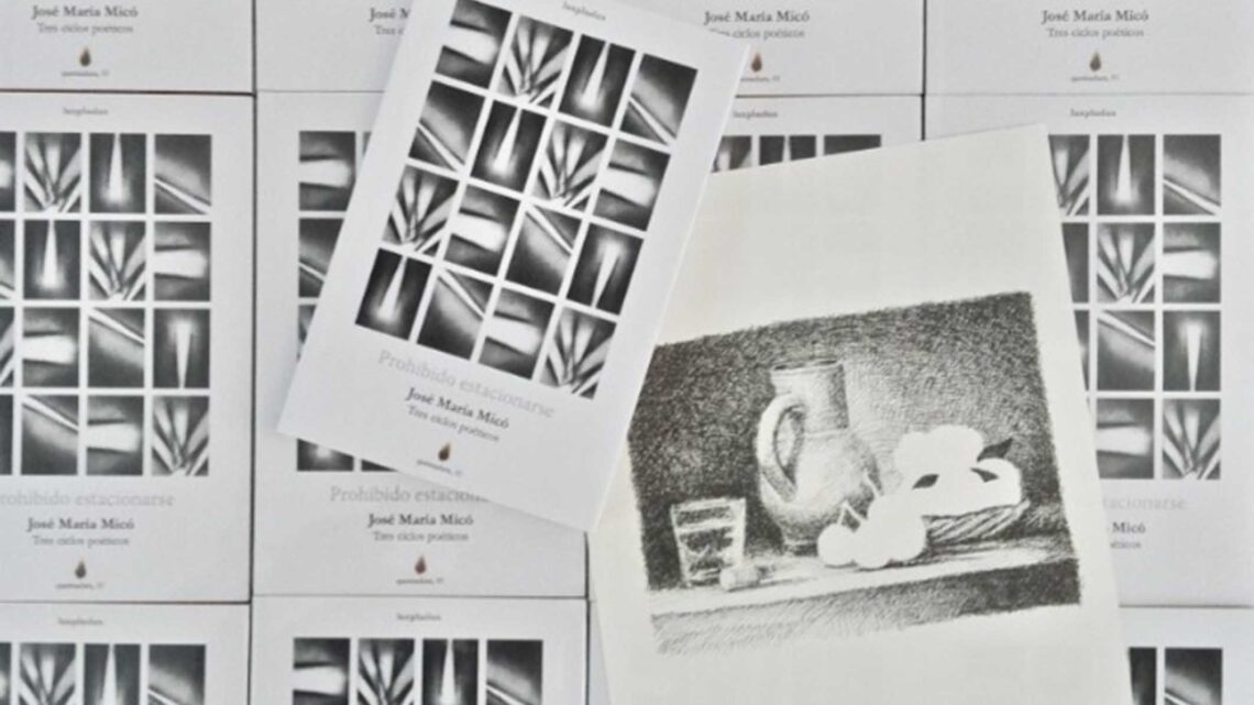 CASUL Y SUS ACTIVIDADES EN NOVIEMBRE