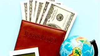 ENCUESTAS DE VIAJEROS INTERNACIONALES