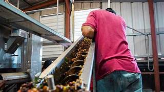 ENCUESTA MENSUAL DE OPINIÓN EMPRESARIAL. INDICADOR DE PEDIDOS MANUFACTUREROS