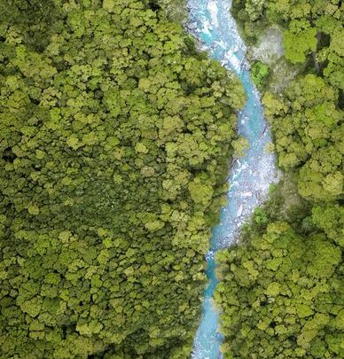 EL PRIMER BONO DE RESILIENCIA PARA AMÉRICA LATINA Y EL CARIBE