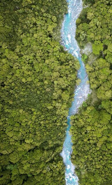 EL PRIMER BONO DE RESILIENCIA PARA AMÉRICA LATINA Y EL CARIBE