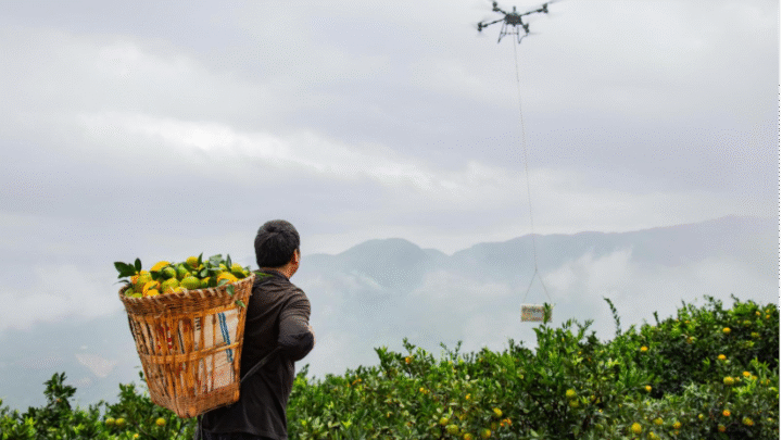 TRATAMIENTO DE CULTIVOS DE SUELO HASTA HUERTOS, CON APLICACIONES AÉREAS