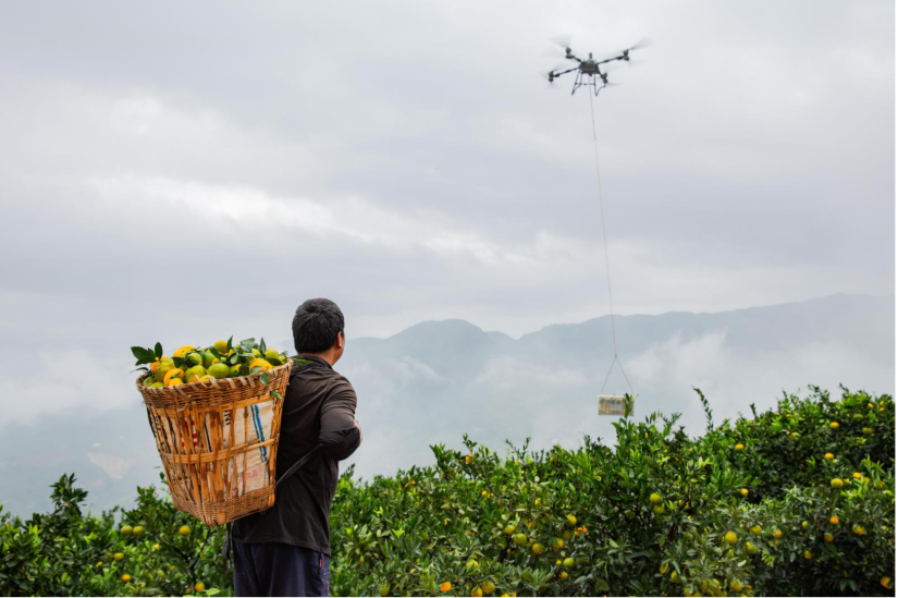 TRATAMIENTO DE CULTIVOS DE SUELO HASTA HUERTOS, CON APLICACIONES AÉREAS