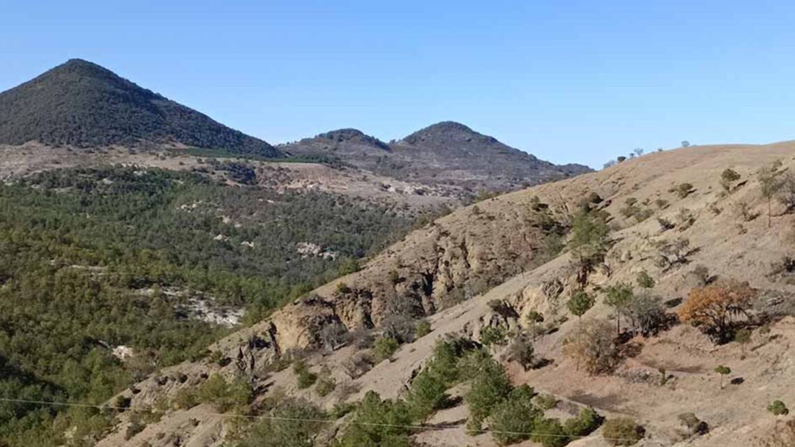 DESCUBREN MICROORGANISMOS BENÉFICOS PARA SISTEMAS AGRÍCOLAS