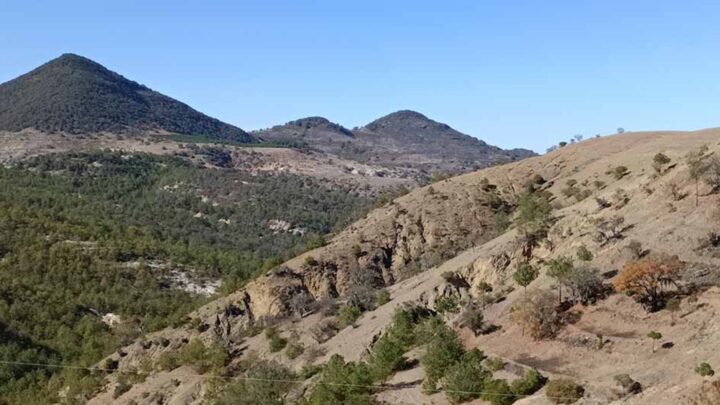 DESCUBREN MICROORGANISMOS BENÉFICOS PARA SISTEMAS AGRÍCOLAS