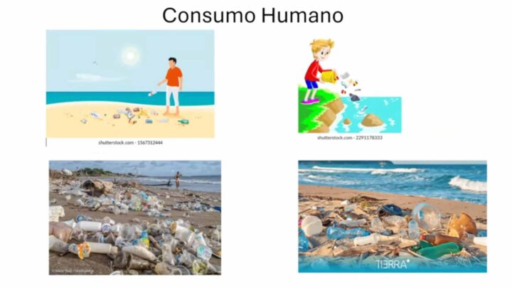 RÍOS, GRANDES TRANSPORTADORES DE PLÁSTICO DESECHADO