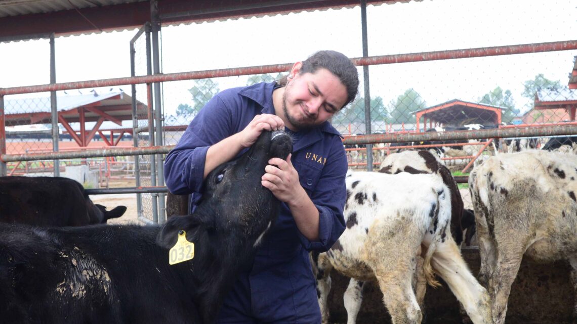 MIGRAR A FORMAS DE VIDA MÁS RESPETUOSAS DE LOS ANIMALES NO ES UNA UTOPÍA