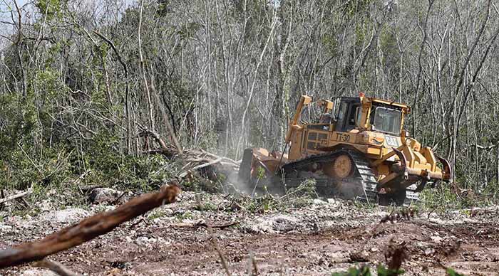CUENTAS ECONÓMICAS Y ECOLÓGICAS DE MÉXICO