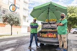 MEDICIONES DE LA ECONOMÍA INFORMAL TRIMESTRAL POR ENTIDAD FEDERATIVA