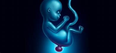 GALARDONAN AVANCES CIENTÍFICOS