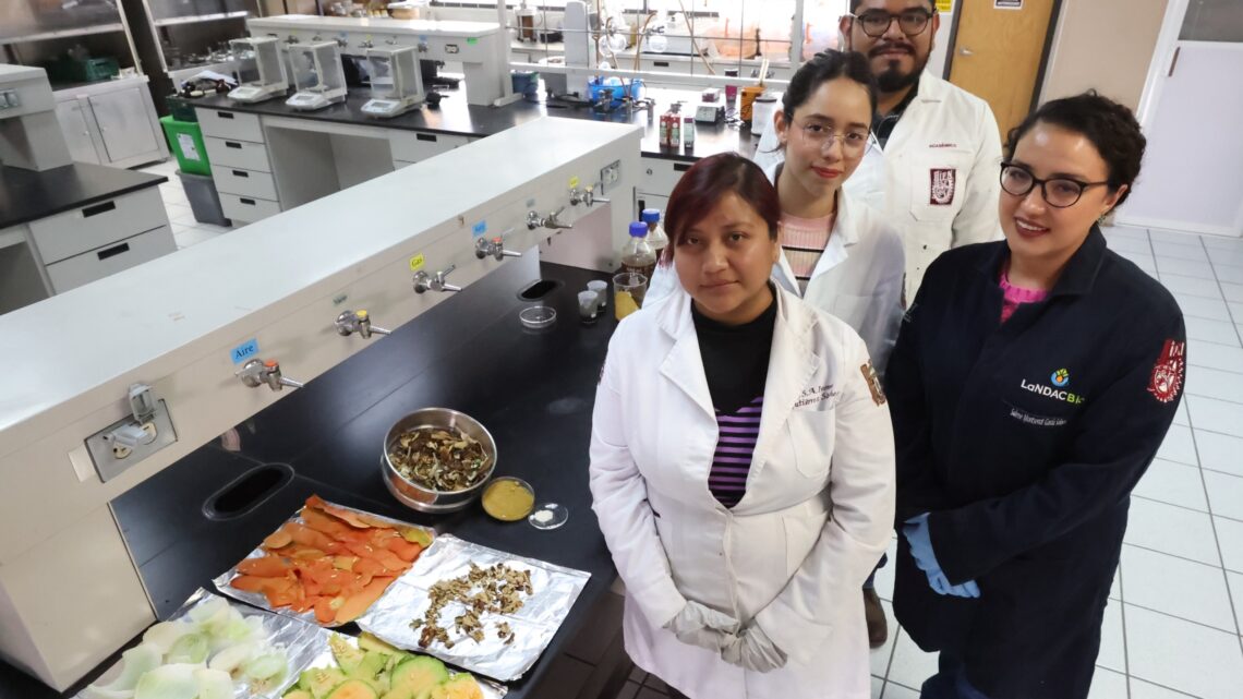 CONVERTIR DESECHOS AGROINDUSTRIALES EN PLATOS DEGRADABLES