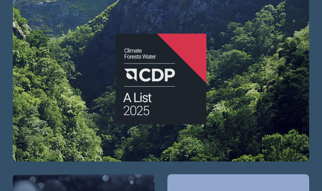 RECONOCIDA POR DÉCIMA VEZ CON LA CALIFICACIÓN AAA DE CDP