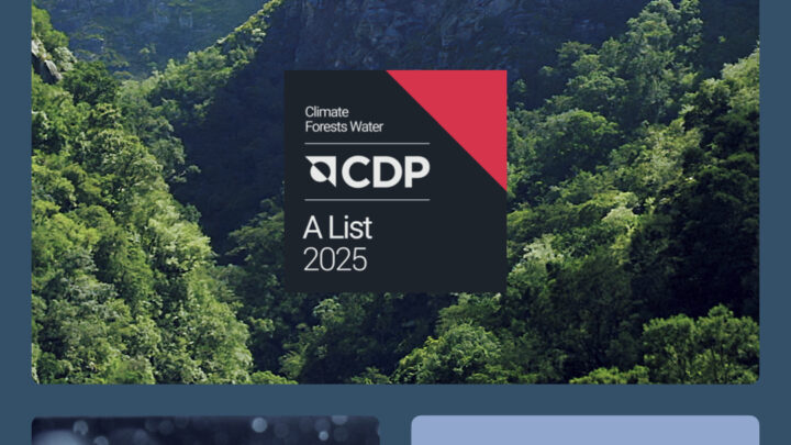 RECONOCIDA POR DÉCIMA VEZ CON LA CALIFICACIÓN AAA DE CDP