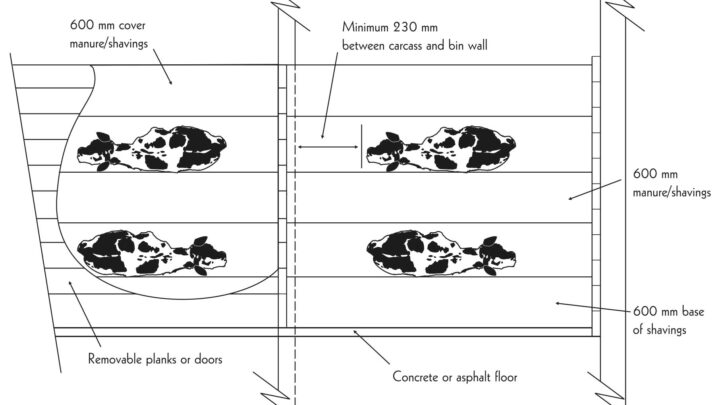 COMPOSTAJE DE CADÁVERES, ALTERNATIVA PARA ERRADICAR ENFERMEDADES