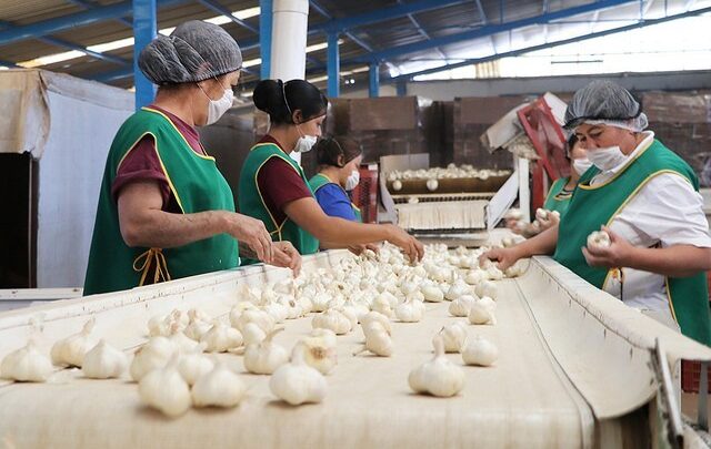 ENCUESTA NACIONAL DE OCUPACIÓN Y EMPLEO