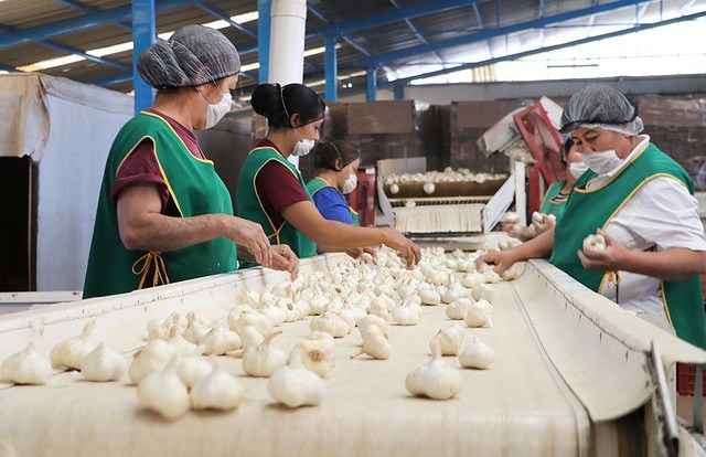 ENCUESTA NACIONAL DE OCUPACIÓN Y EMPLEO