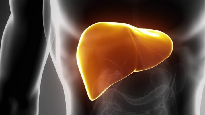 CUIDADO CON TU HÍGADO