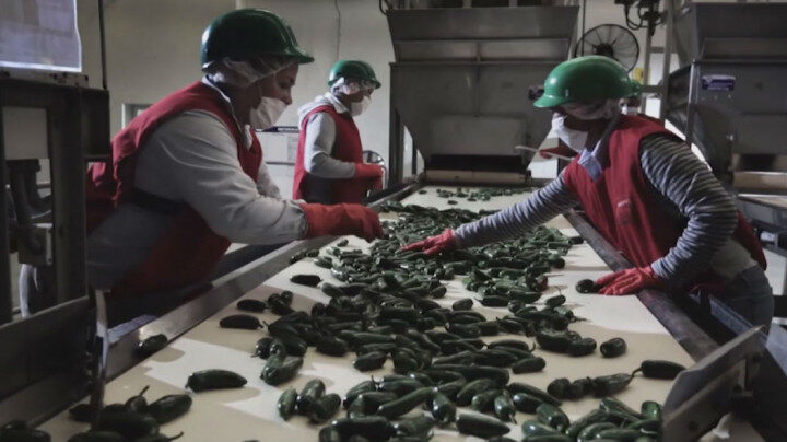 INDICADOR TRIMESTRAL DE LA ACTIVIDAD ECONÓMICA ESTATAL