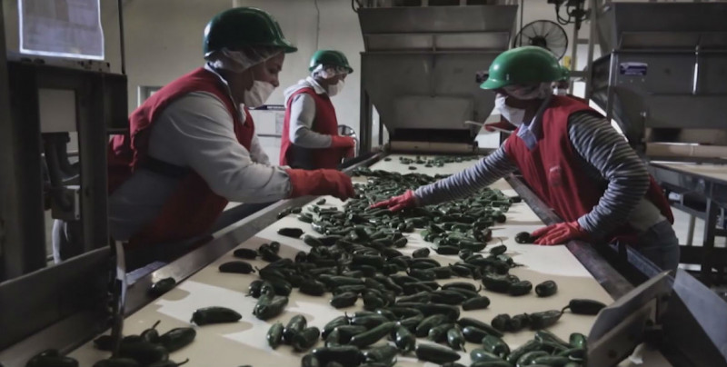 INDICADOR TRIMESTRAL DE LA ACTIVIDAD ECONÓMICA ESTATAL