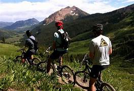 MÓDULO DE PRÁCTICA DEPORTIVA Y EJERCICIO FÍSICO