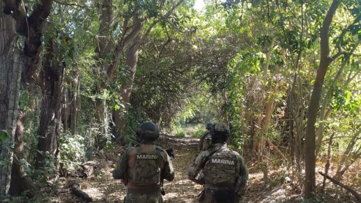 COMPROMISO CON LA SEGURIDAD Y LA PAZ EN COLIMA