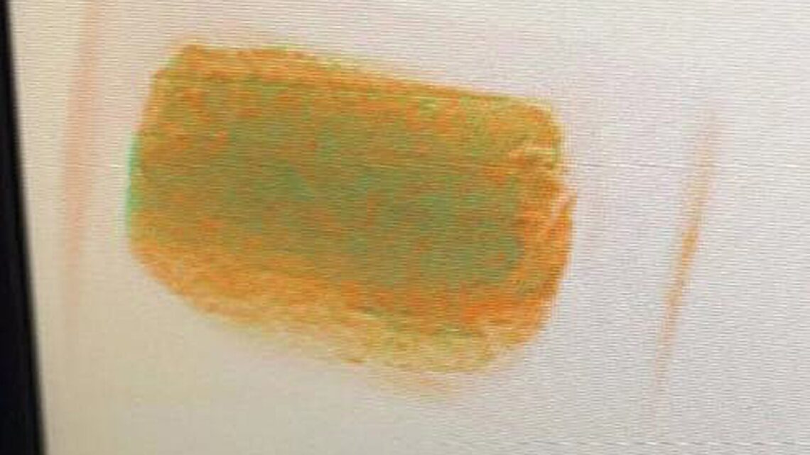 EN EL AICM ASEGURAN UN PAQUETE CON FENTANILO